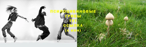 твердый Абинск