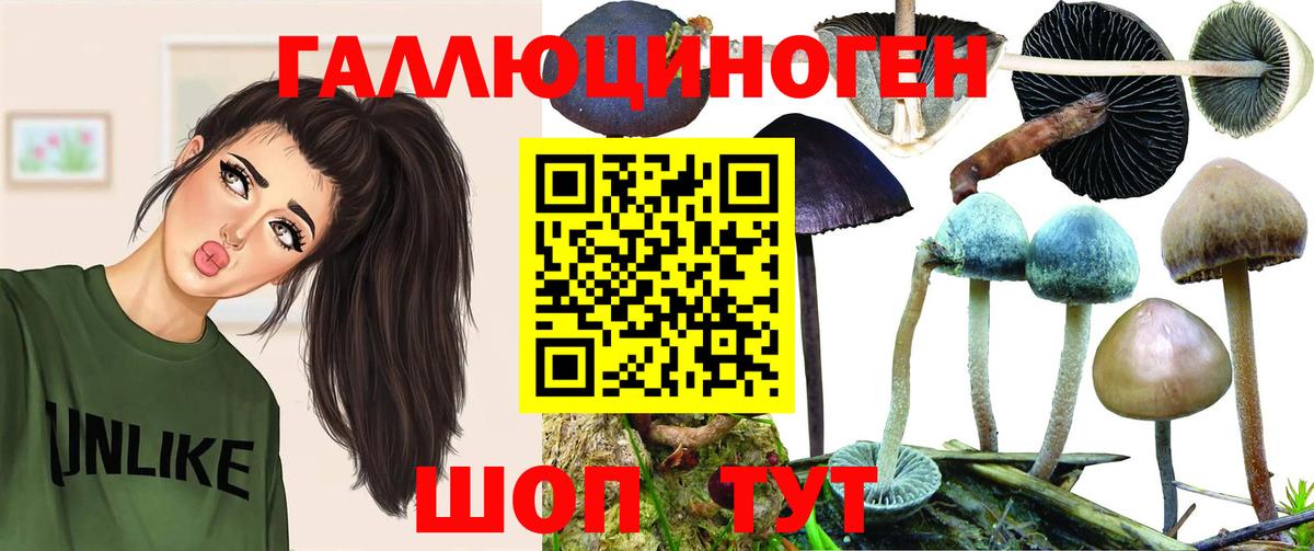 Усть-Кут  Псилоцибиновые грибы GOLDEN TEACHER  Вход с VPN 